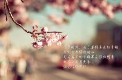 开云在线直播-北欧风暴与曼彻斯特闪电，当丹麦的坚韧遇上拉什福德的欧冠封神夜