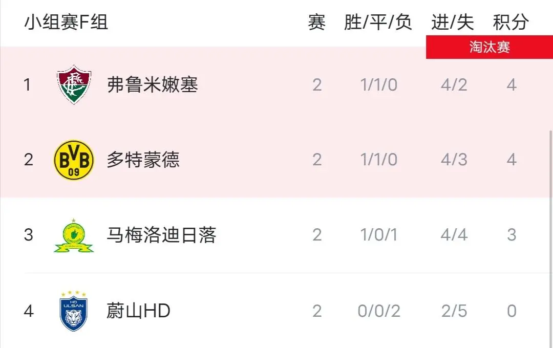 惊喜调整：弗鲁米嫩塞世俱杯大名单公布的简单介绍