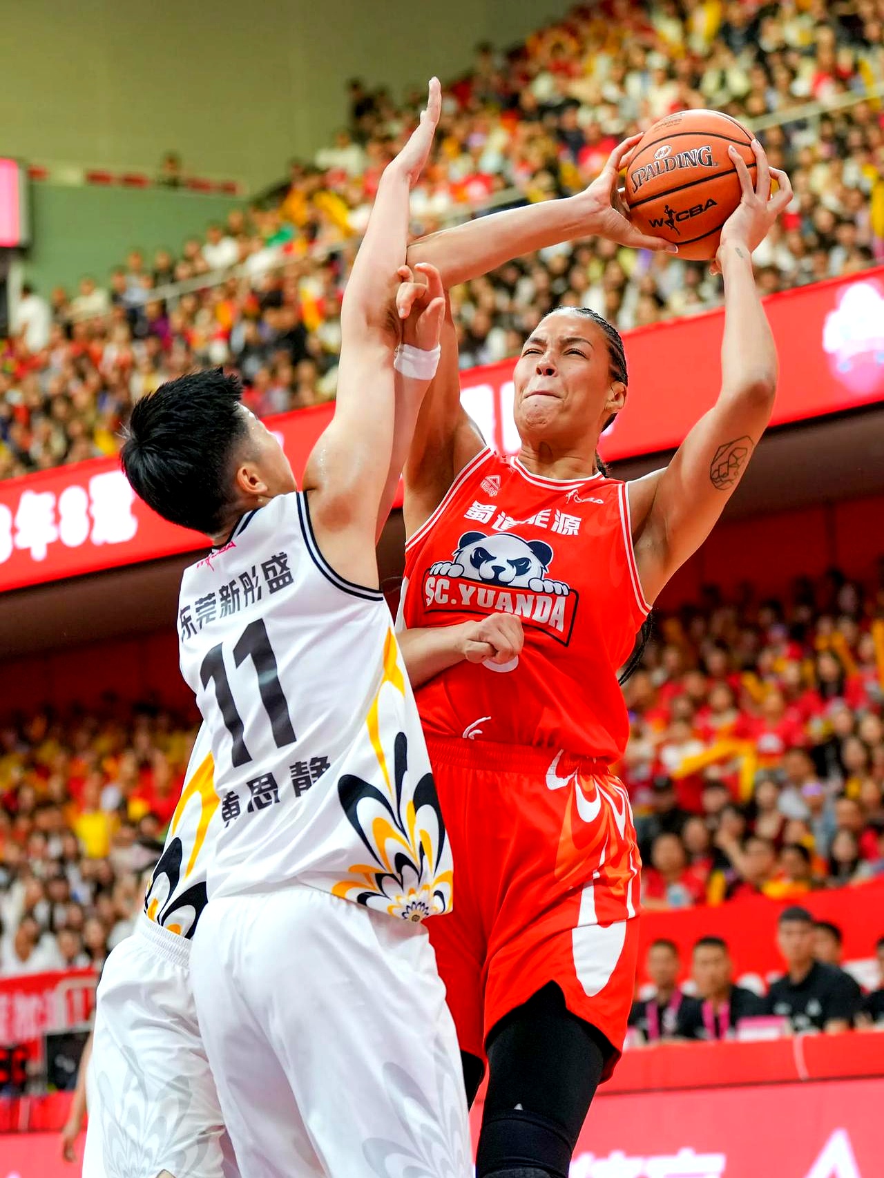 篮球劲旅再度击败对手，继续保持不败战绩