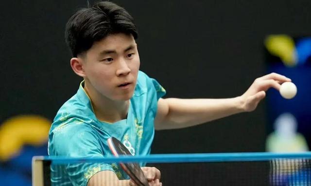 日本乒乓球队完胜法国乒乓球队，奥恰洛夫惊艳世界的简单介绍