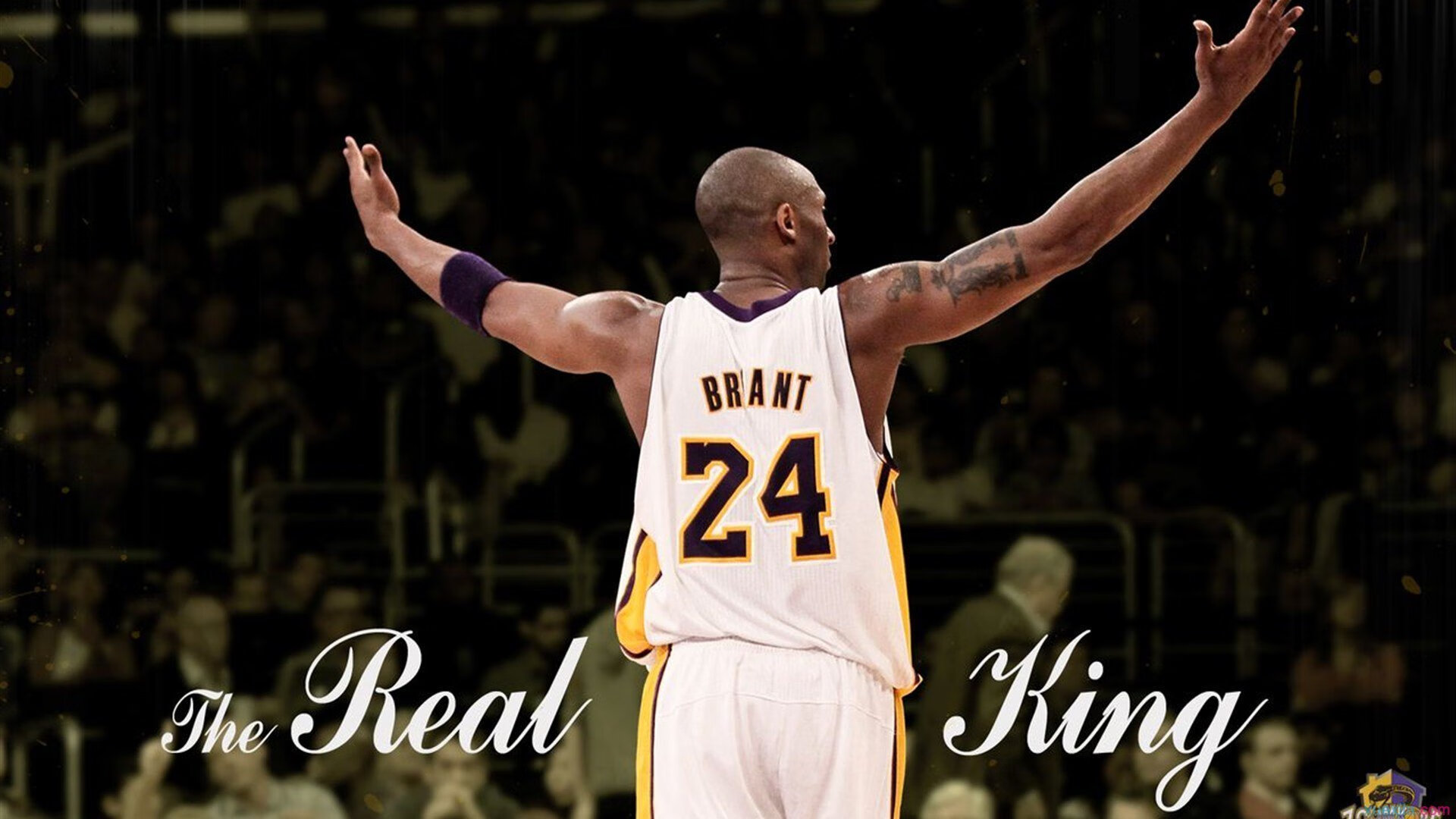 赛道上的独舞者,格列兹曼在F1街道赛之夜的完美绽放